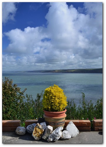 sea cloud plant wales landscape bay coast cymru newquay shore ceredigion aberaeron ceinewydd
