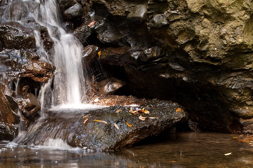 water creek waterfall walnut falls erie walnutcreek