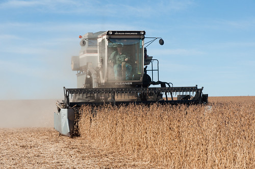 south combine dakota soybeans harvesting gleanerf2