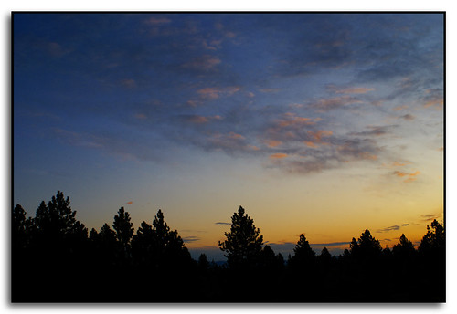 trees colors clouds sunrise washington spokane