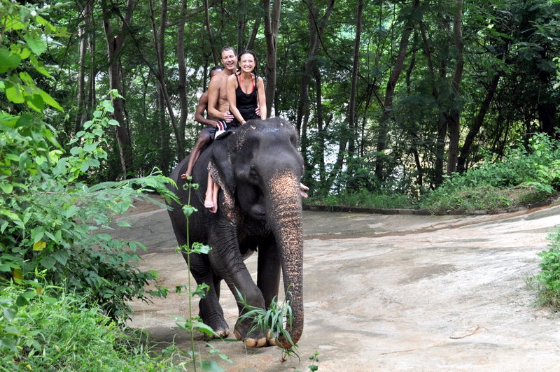 Elephant Village – Bangkok