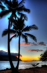 HDR Sunset next to the palm trees on the beach at Hanalei Bay