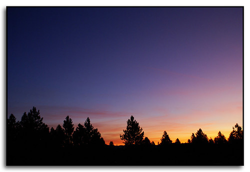 trees colors clouds sunrise washington spokane silhouettes