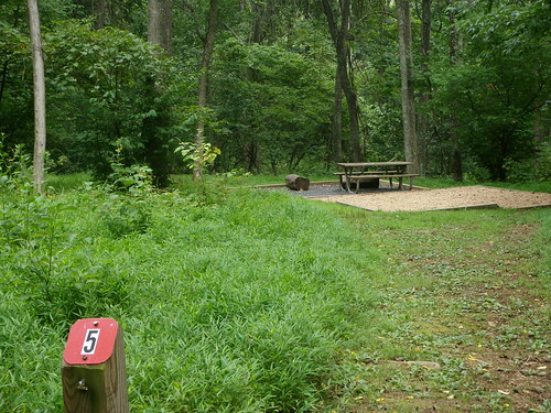 Campsite (number 5) at Sky Meadows State Park.