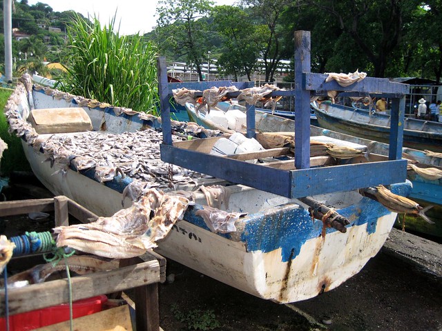 dried fish on a boat in la libertad, el salvador