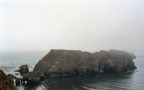 california holiday weather fog island seaside unitedstates outdoor elk wharfrock