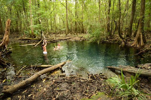 water spring woods florida springs swamp remote freshwater brunsonlandingspring