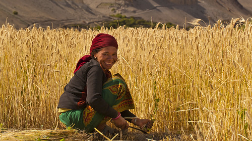 nepal portrait woman niceshot harvest himalaya kagbeni mygearandme musictomyeyeslevel1