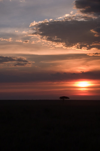 sonnenuntergang kenya ken landschaft baum ort masaimara ereignis bildart bildinhalt kenyazanzibar2007