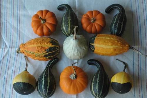 repetition/pattern: gourds