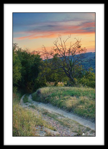 road sunset tree evening hills este hdr fa zala alkony út dombok nagybakónak