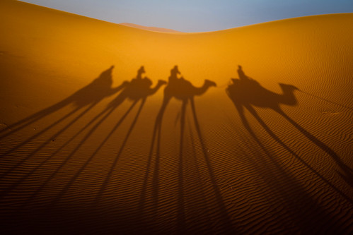 Camel Shadows by Eyebeam Photography, on Flickr