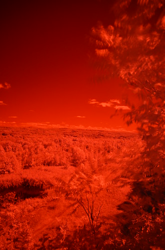 park summer connecticut infrared rockyhill johnjmurphyiii