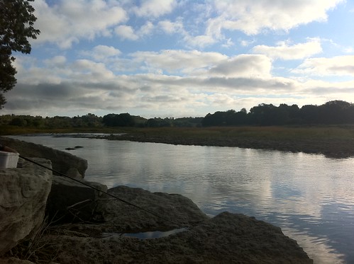 river fishing scenery maitlandriver