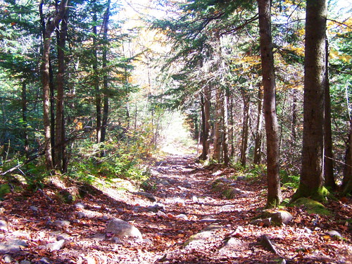 old mountain lyon trail andyarthur
