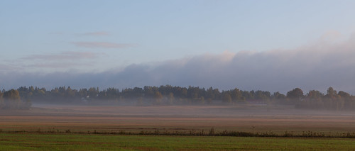 morning field fog countryside haze canonef2470mmf28lusm 365project canoneos5dmarkii