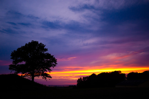 sunset sky tree yellow night skåne glow cloudy sweden skåne f17 2011 fav10 asmundtorp ¹⁄₁₂₅sek dmcgf1 lumixg20f17