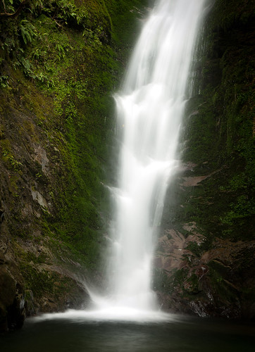 waterfall seal kaikoura ohau