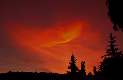 sunset red sky rot clouds sonnenuntergang wolken sonne bäume 太陽 pfalz abendhimmel neustadt weinstrasse loojang markpfalz