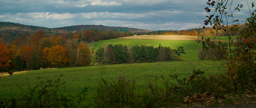 autumn trees fall field rural forest landscape corn cloudy country meadow newhampshire nh foliage partly langdon