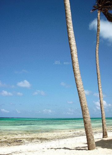 sea holiday beach palms tanzania mare zanzibar palme spiaggia