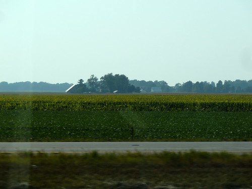 corn indiana crops