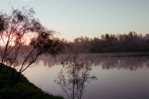 trees canada fog sunrise river landscape nikon scenic saskatchewan blinkagain bestofblinkwinners