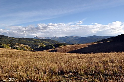 road autumn mountains fall rural back colorado meadow co rockymountains pammorris pamspics d5000 eaglenikon