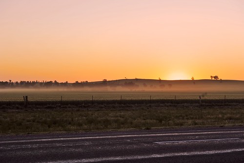 sunset drive forbes centralnsw