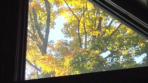 fall window mi out view fernridge