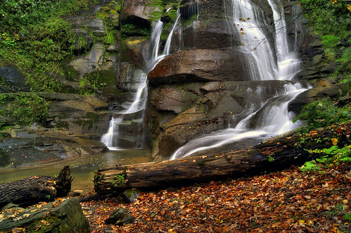 ny fall leaves creek waterfall stream hiking upstate glen trail waterfalls gorge hiker fingerlakes tully gully