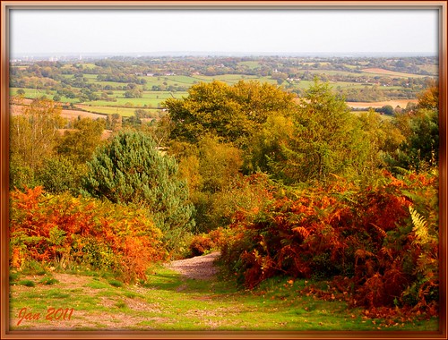 uk autumn england fall scenery colours worcestershire lickeyhills lickey