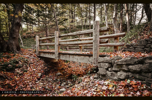 leaves nikon fallcolors bridges tokina milwaukee grantpark 1224mm hdr sevenbridges 7bridges florabella d7000
