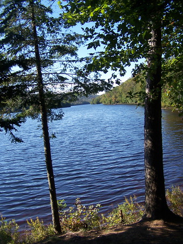 road trees lake north adirondacks along andyarthur northlakeadks