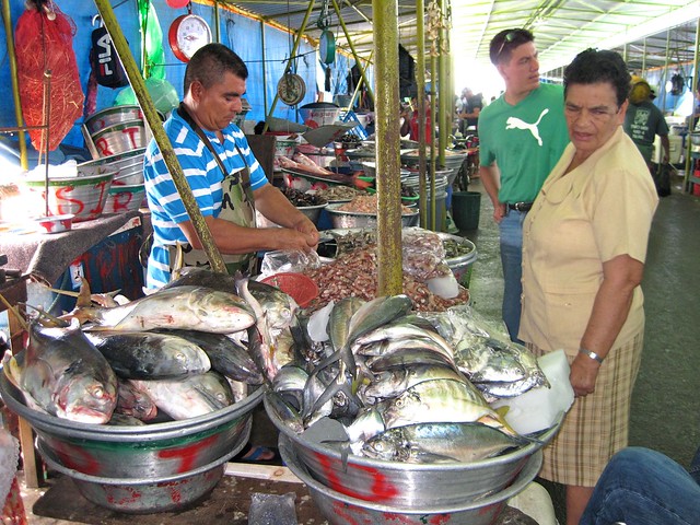 el salvador seafood fresh fish