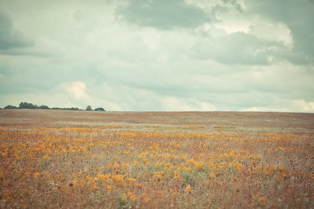 Midewin National Tallgrass Prairie