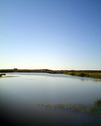 texas wetlands whatknot 2011 seagoville top20texas bunkersands