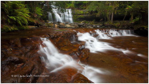 forest landscape photography waterfall tasmania liffeyfalls everlook ☆thepowerofnow☆