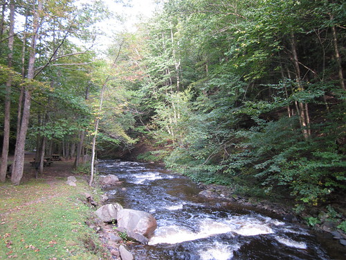 park newyork creek upstate rapids gorge tughillplateau whetstonegulfstatepark 091111