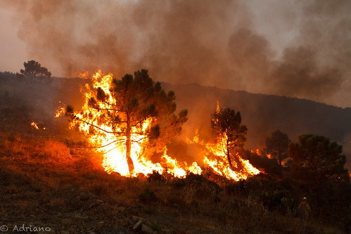 españa trabajo europa andalucia lugares malaga llamas marbella mijas ojen incendios incendiosforestales