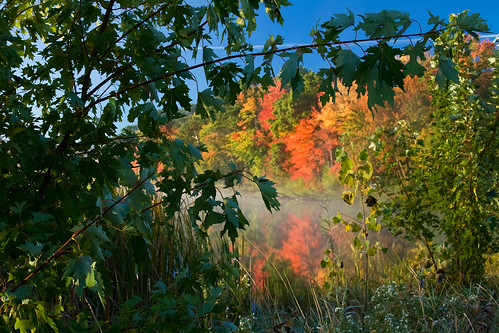 morning autumn trees lake color fall nature colors leaves fog wisconsin forest sunrise season landscape woods fallcolors calm hike