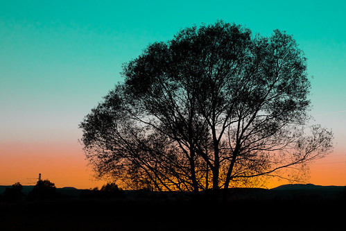 sunset tree slovakia colourful 2011 sliac afsdxnikkor1685mmf3556gedvr nikond7000 sliackupele