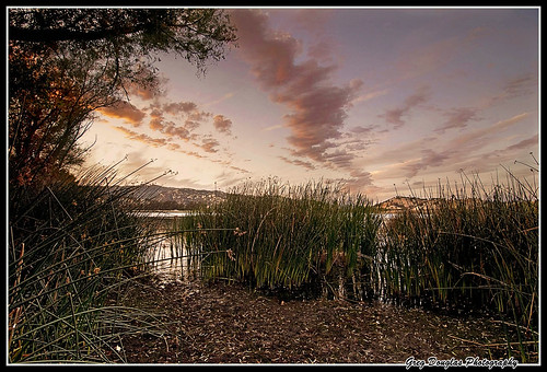 park trees sky lake tree clouds landscapes vacaville hills cattails solano hollow ndfilters northernca lagoonvalley tokina1116mmf28