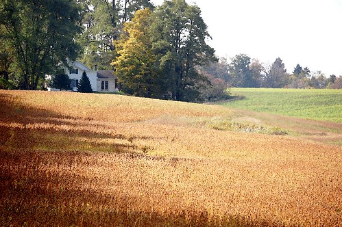 autumn trees rural landscape upstatenewyork newyorkstate rs cooperstown otsegocounty edbrodzinsky