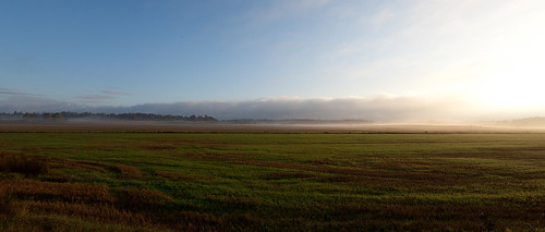 morning field fog sunrise countryside haze canonef1635mmf28liiusm canoneos5dmarkii