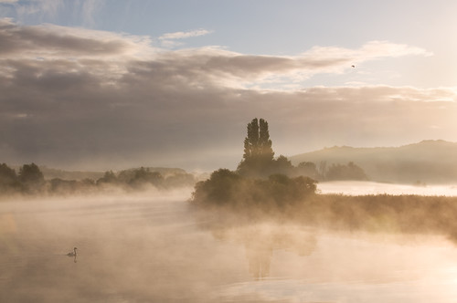 nottingham morning mist sunrise dawn swan attenborough nottinghamshire