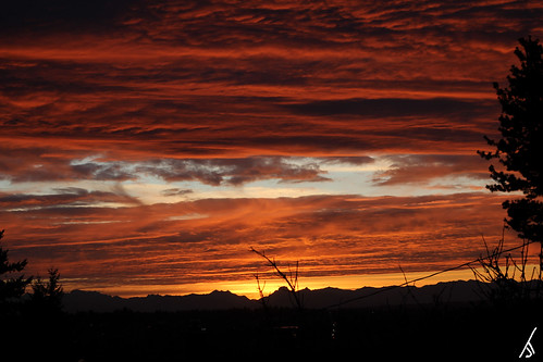 seattle trees light red orange mountains clouds sunrise canon 50mm washington timelapse time wa lapse 60d jtobiason