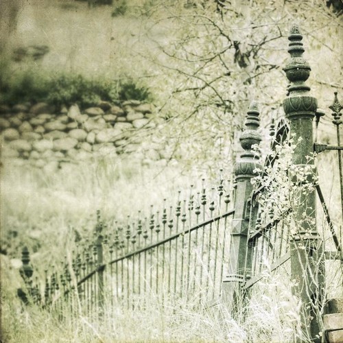 canon fence square gate cemetary faded hillside ironfence idahosprings idream texturesquared t1i fencefriday