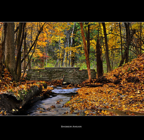 autumn fall rural creek october stream fallcolor seasonal fallfoliage changing upstatenewyork fallenleaves albanyruralcemetery stonebridge oldbridge goldenleaves shobeiransari