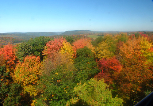 blue autumn trees red orange color green fall yellow landscape